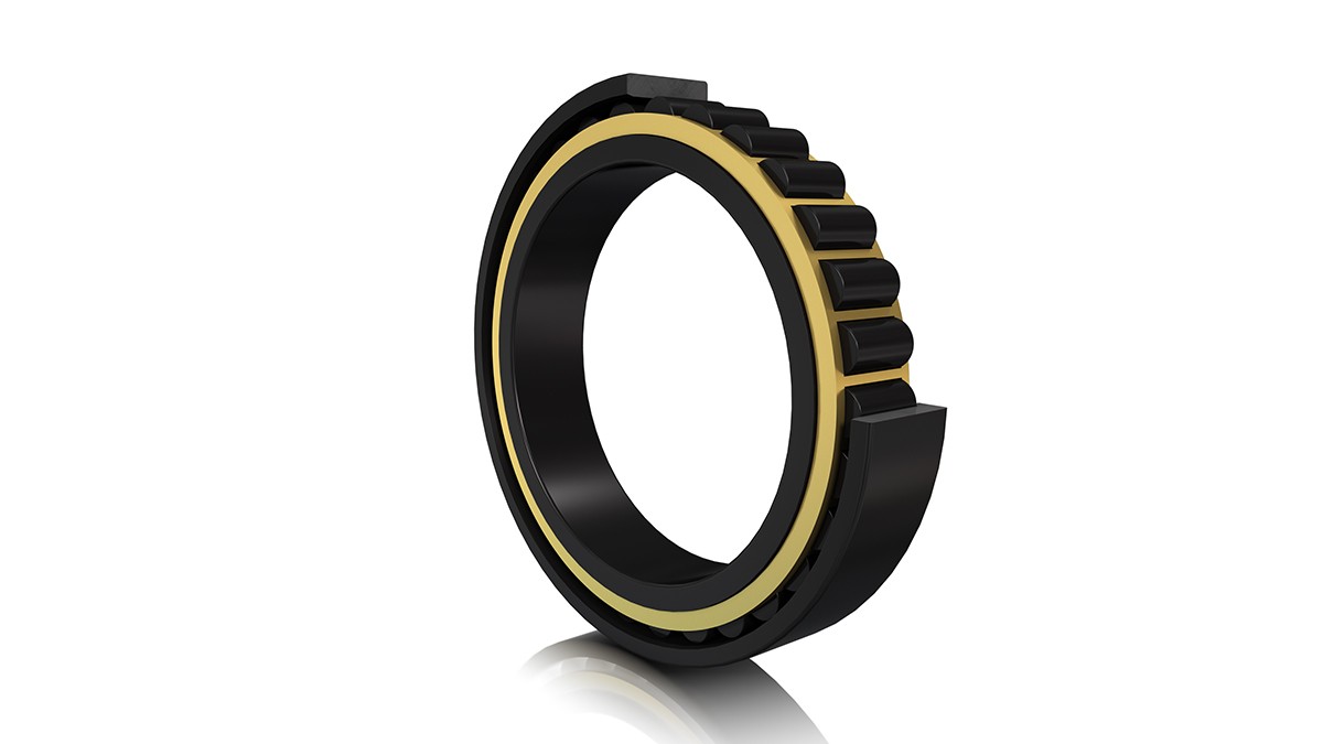 FAG 원통 롤러 베어링(cylindrical roller bearing)