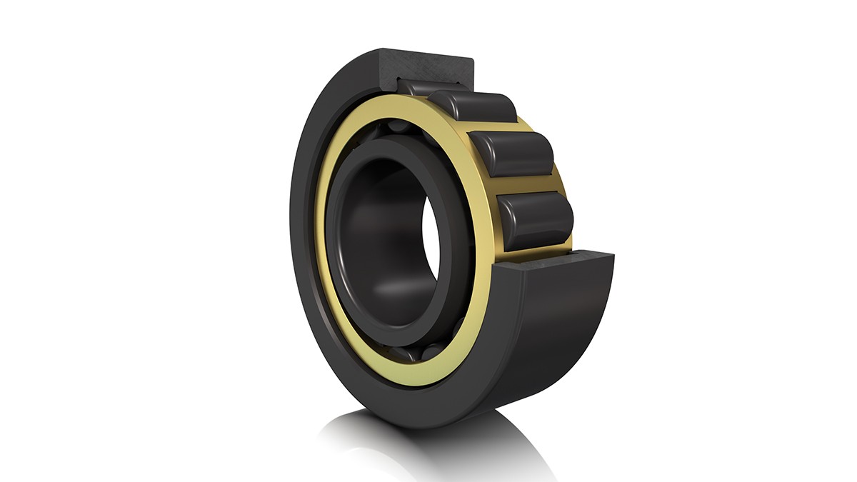 FAG 원통 롤러 베어링(cylindrical roller bearing)